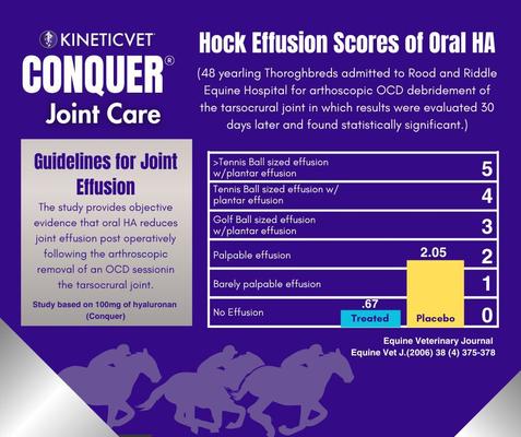 Show full view: KineticVet Conquer Joint Liquid Horse Supplement, 64-fl oz bottle slide 4 of 5