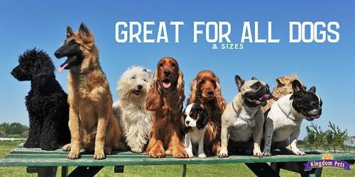 Show full view: Kingdom Pets Chicken & Rawhide Jerky Wraps Dog Treats, 32-oz bag slide 5 of 9