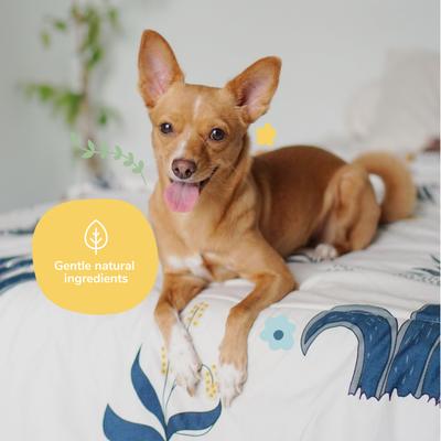 Show full view: kin+kind Dog Smell Almond+Vanilla Dog Coat Spray, 12-fl oz bottle slide 6 of 6