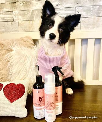 Show full view: kin+kind Energizing Waterless Bath Grapefruit for Dogs, 8-fl oz bottle slide 6 of 7