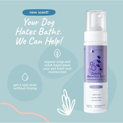 Show full view: kin+kind Natural Lavender Calming Waterless Bath Dog & Cat Shampoo, 8-fl oz bottle slide 2 of 7