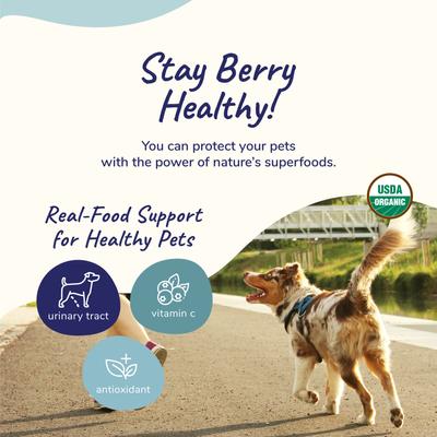 Show full view: kin+kind Organic Healthy Immunity Dog & Cat Supplement, 4-oz jar slide 5 of 12