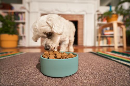 Show full view: Kismet Chicken & Barley Recipe with Freeze-Dried Nugs Dry Dog Food, 9-lb bag slide 6 of 11