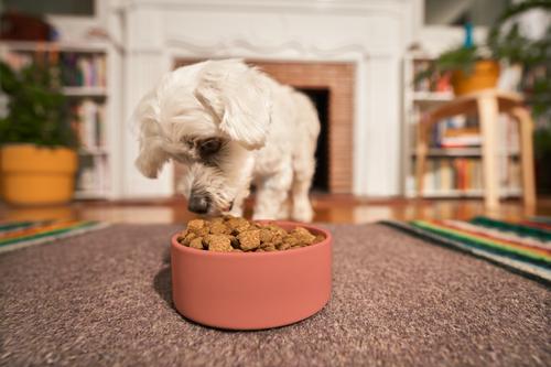 Show full view: Kismet Salmon & Brown Rice Recipe with Freeze-Dried Nugs Dry Dog Food, 9-lb bag slide 4 of 11