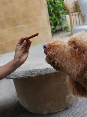 Show full view: Kismet Slow Cooked Beef Sticks Jerky Dog Treats, 14-oz bag slide 4 of 9