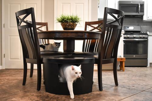 Show full view: Kitangle Corner Kitty Cat Litter Box, Large, Black slide 7 of 8