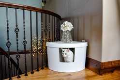 Kitangle Corner Kitty Cat Litter Box, Large, White
