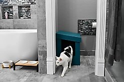 Kitangle Slope Style Cat Litter Box, X-Large, Teal