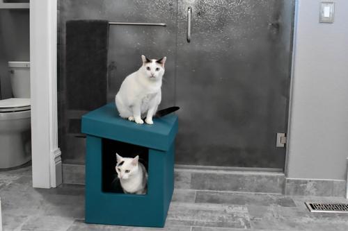 Show full view: Kitangle Slope Style Cat Litter Box, X-Large, Teal slide 4 of 8