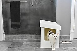 Kitangle Slope Style Cat Litter Box, X-Large, White