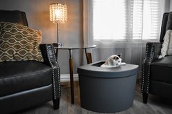 Kitangle Top Entry Cat Litter Box, Large, Grey