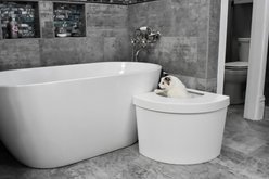 Kitangle Top Entry Cat Litter Box, Large, White