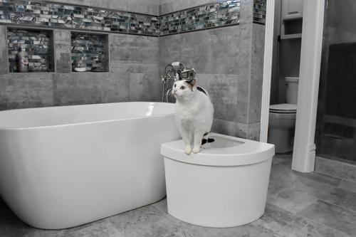 Show full view: Kitangle Top Entry Cat Litter Box, Large, White slide 8 of 9