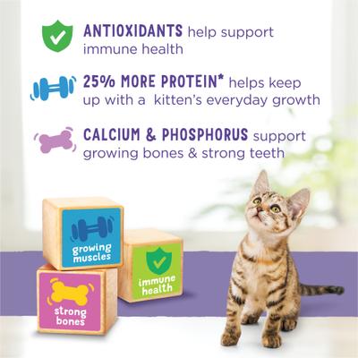 Show full view: Kitten Chow Healthy Development Chicken Flavor Muscle & Brain Development Kitten Dry Cat Food, 3.15-lb bag slide 8 of 13