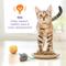 Show in main carousel: Kitten Chow Healthy Development Chicken Flavor Muscle & Brain Development Kitten Dry Cat Food, 6.3-lb bag slide 5 of 13
