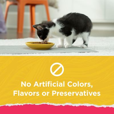 Show full view: Kitten Chow Naturals Original with Added Vitamins, Minerals & Nutrients Dry Cat Food, 3.15-lb bag slide 5 of 12