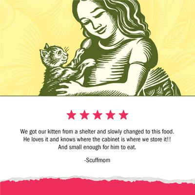 Show full view: Kitten Chow Naturals Original with Added Vitamins, Minerals & Nutrients Dry Cat Food, 3.15-lb bag slide 8 of 12