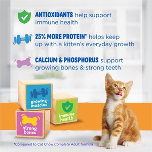 Kitten Chow Year One Essentials Nutrients with Real Chicken High-Protein Kitten Dry Cat Food, 14-lb bag
