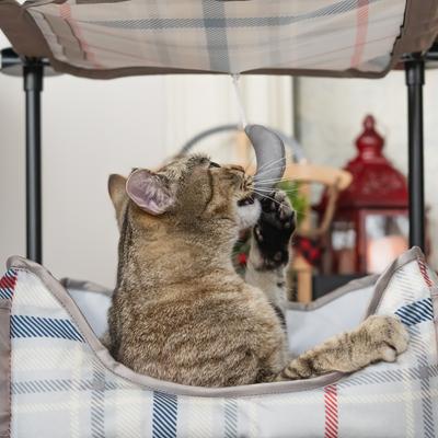 Show full view: Kitty City Claw Indoor Mega Kit Cat Furniture Cat Bed, Gray, Medium slide 3 of 10