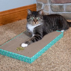 Kitty City Premium Natural Catnip, 3 count slide 2 of 8