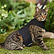 Show in main carousel: Kitty Holster Cat Harness, Black, Medium/Large slide 3 of 6