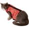 Show in main carousel: Kitty Holster Cat Harness, Blazin Red Bandana, Small/Medium slide 5 of 7
