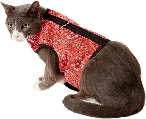 Show full view: Kitty Holster Cat Harness, Blazin Red Bandana, Small/Medium slide 5 of 7