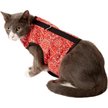 Show in main carousel: Kitty Holster Cat Harness, Blazin Red Bandana, X-Large slide 5 of 7