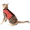 Show in main carousel: Kitty Holster Cat Harness, Blazin Red Bandana, X-Small slide 5 of 7