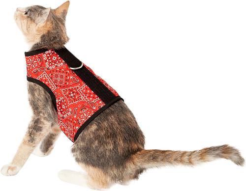 Show full view: Kitty Holster Cat Harness, Blazin Red Bandana, X-Small slide 5 of 7