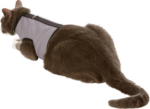 Show full view: Kitty Holster Cat Harness, Gray, Medium/Large slide 3 of 5