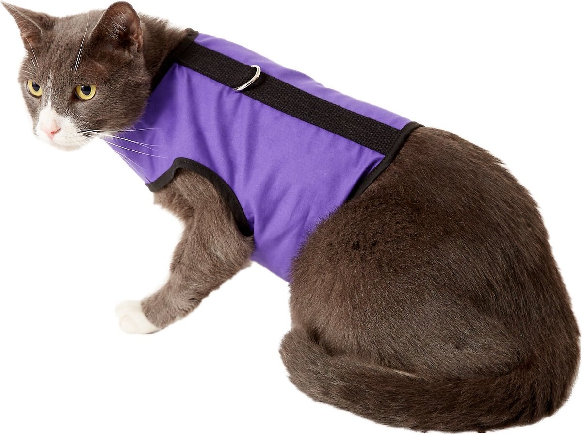 Holster Cat Harness Kitty Holster Amazon Kitty Holster Cat Harness