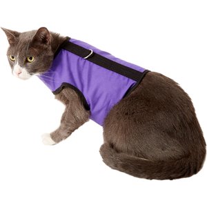 Kitty Holster Cat Harness, Purple, Medium/Large