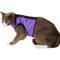 Show in main carousel: Kitty Holster Cat Harness, Purple, Small/Medium slide 5 of 7