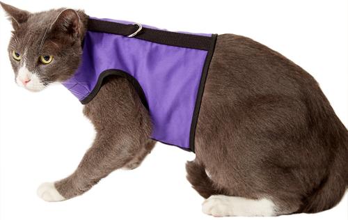 Kitty Holster Cat Harness