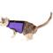 Show in main carousel: Kitty Holster Cat Harness, Purple, X-Small slide 2 of 4