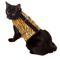 Show in main carousel: Kitty Holster Cat Harness, Tiger Stripe, Medium/Large slide 5 of 7