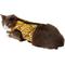 Show in main carousel: Kitty Holster Cat Harness, Tiger Stripe, Small/Medium slide 3 of 5