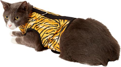Show full view: Kitty Holster Cat Harness, Tiger Stripe, Small/Medium slide 3 of 5