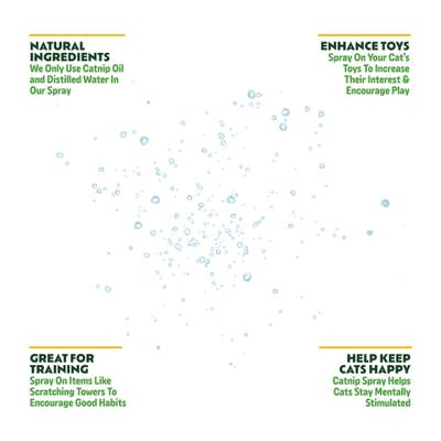 Show full view: Kitty Ka-Zoom Liquid Catnip Spray, 1-fl oz bottle slide 3 of 5