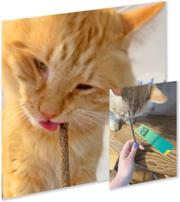 Show full view: Kitty Ka-Zoom Silvervine Fruit Covered Sticks Cat Natural Chew Treats, 5 count slide 5 of 6