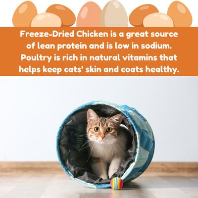Show full view: Kitty Kitty Cluck Catnip Coated Chicken Grain-Free Freeze-Dried Cat Treats, 0.75-oz bag slide 7 of 10