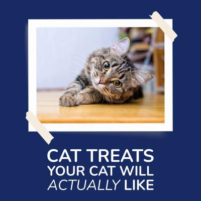 Show full view: Kitty Kitty Hare Grain-Free Rabbit Freeze-Dried Cat Treats, 0.9-oz bag slide 8 of 11