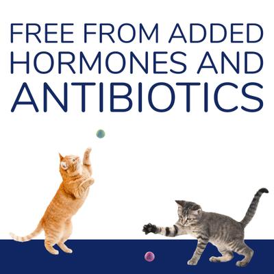 Show full view: Kitty Kitty Hare Grain-Free Rabbit Freeze-Dried Cat Treats, 0.9-oz bag slide 6 of 11