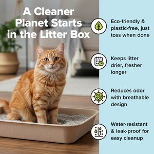 Kitty Sift Disposable Cat Litter Box, 6 count, Large