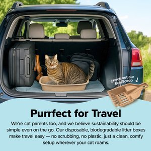 Kitty Sift Disposable Cat Litter Box, 6 count, Large