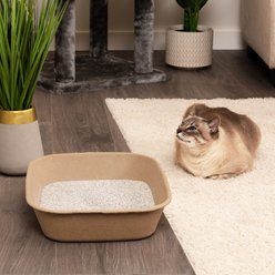 Kitty Sift Disposable Cat Litter Box, 6 count, Large slide 1 of 8