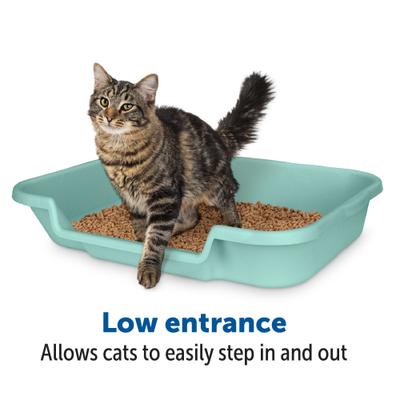 Show full view: KittyGoHere Senior Cat Litter Box, Green, Large slide 3 of 7