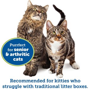 KittyGoHere Senior Cat Litter Box, Green, Small