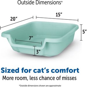 KittyGoHere Senior Cat Litter Box, Green, Small